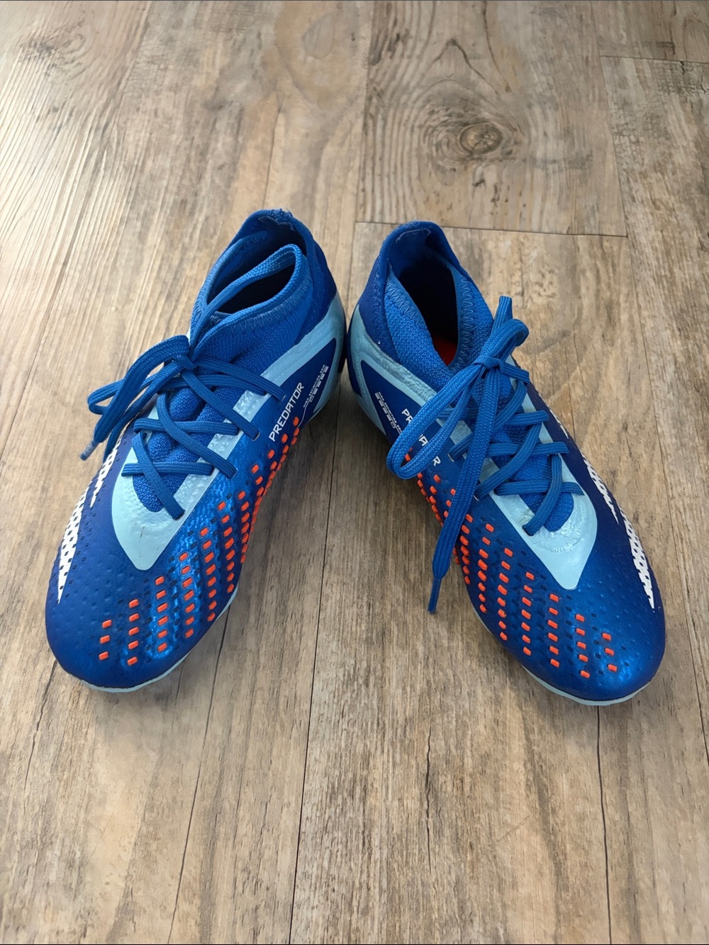 adidas Kids Blue and Aqua Predator Soccer Cleats